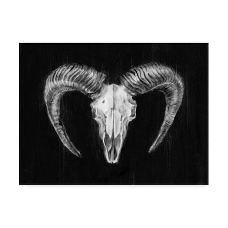 Ethan Harper 'Rustic Ram Mount Ii' Canvas Art,18x24